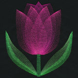 Blooming Garden Tulip