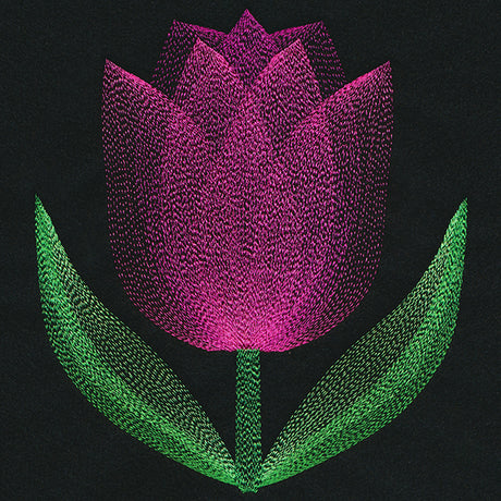 Blooming Garden Tulip