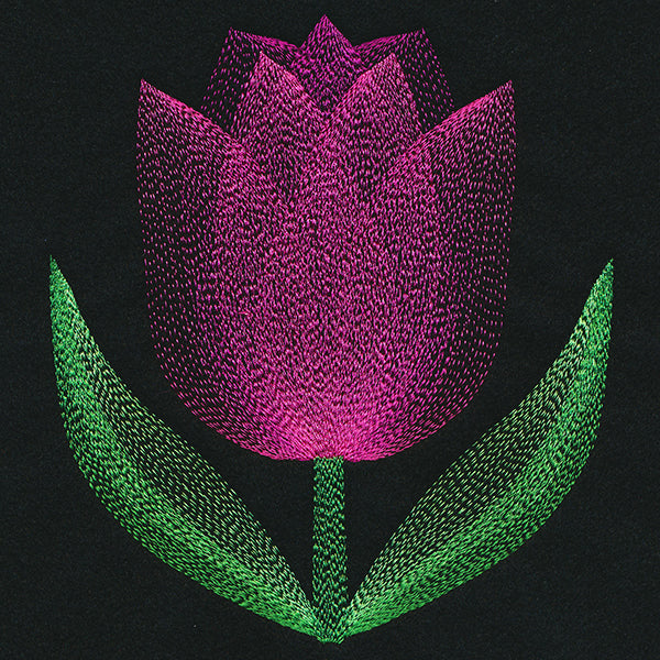 Blooming Garden Tulip