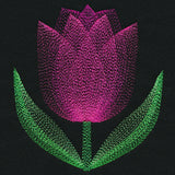 Blooming Garden Tulip