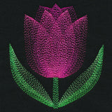 Blooming Garden Tulip