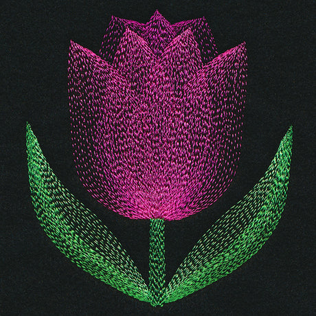 Blooming Garden Tulip