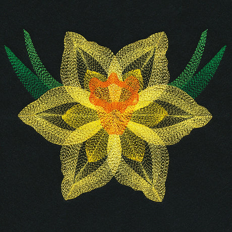 Blooming Garden Daffodil