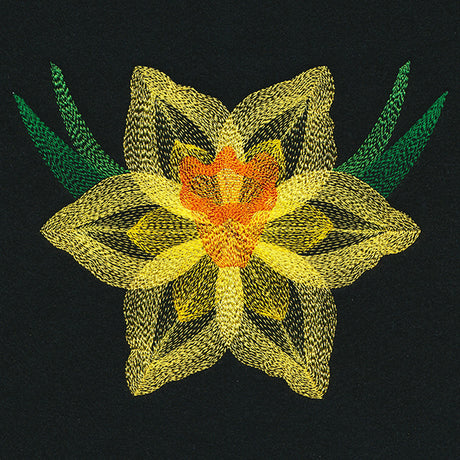 Blooming Garden Daffodil