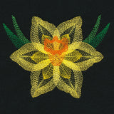 Blooming Garden Daffodil