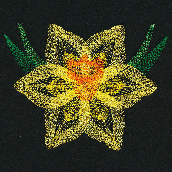 Blooming Garden Daffodil