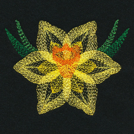 Blooming Garden Daffodil