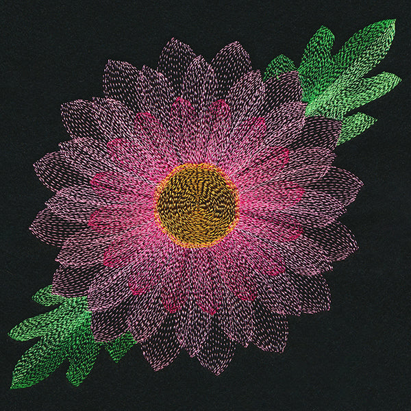 Blooming Garden Chrysanthemum