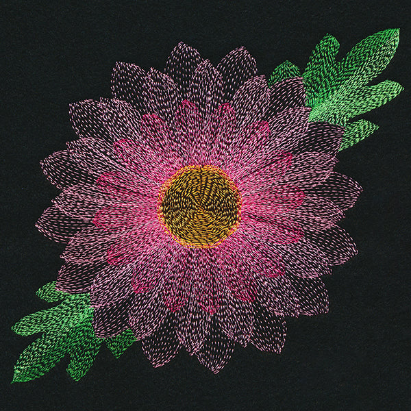 Blooming Garden Chrysanthemum