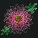 Blooming Garden Chrysanthemum