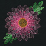 Blooming Garden Chrysanthemum