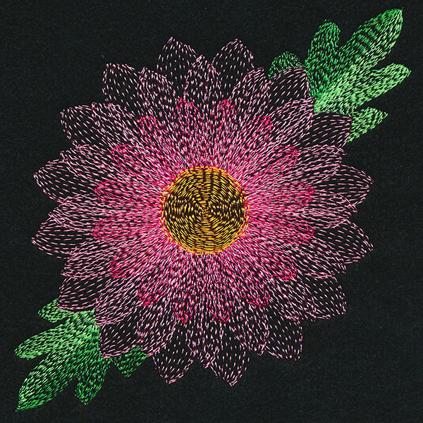 Blooming Garden Chrysanthemum