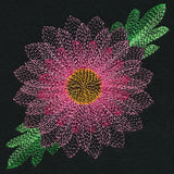 Blooming Garden Chrysanthemum