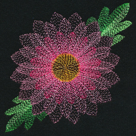 Blooming Garden Chrysanthemum