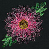 Blooming Garden Chrysanthemum