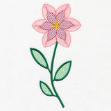 Beautiful Spiral Bloom