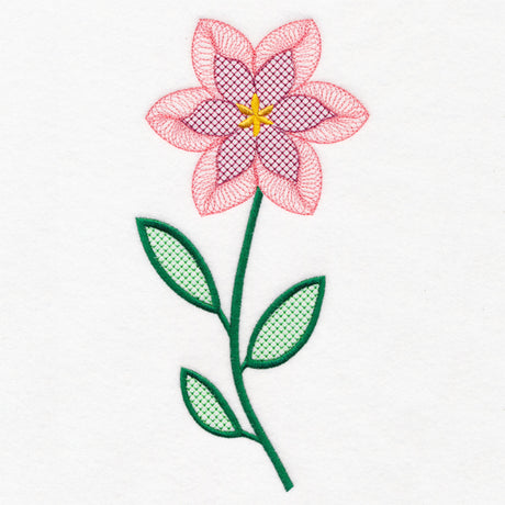 Beautiful Spiral Bloom