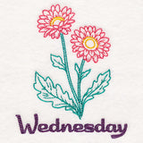 Daisies on Wednesday (Vintage)