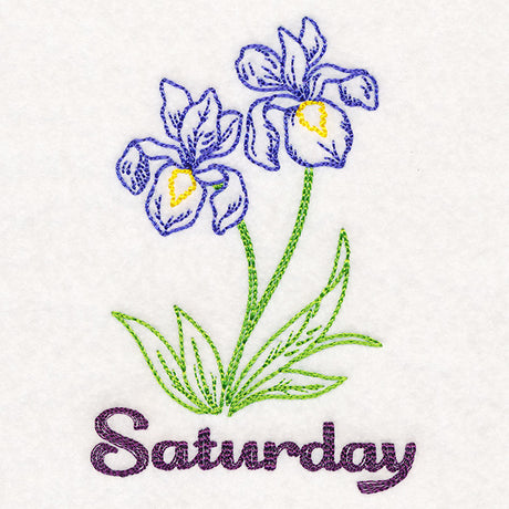 Irises on Saturday (Vintage)