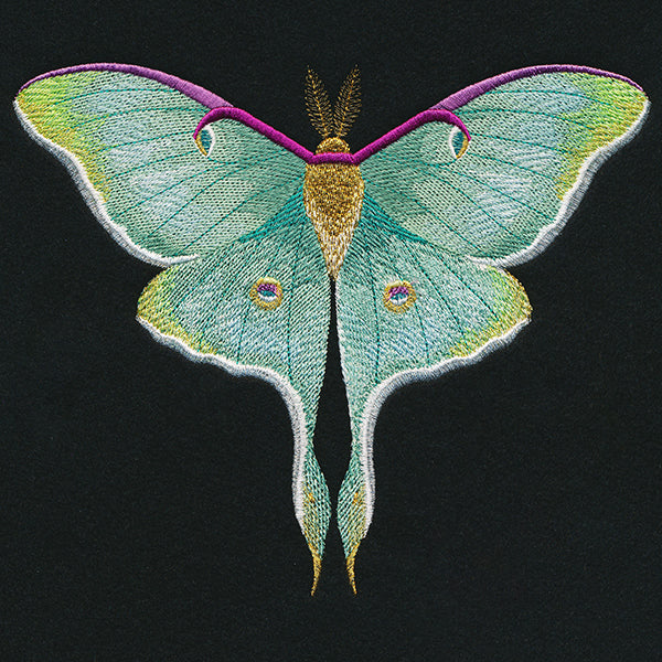 Emerald Luna Moth