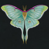 Emerald Luna Moth