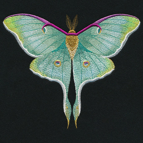 Emerald Luna Moth
