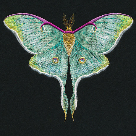 Emerald Luna Moth