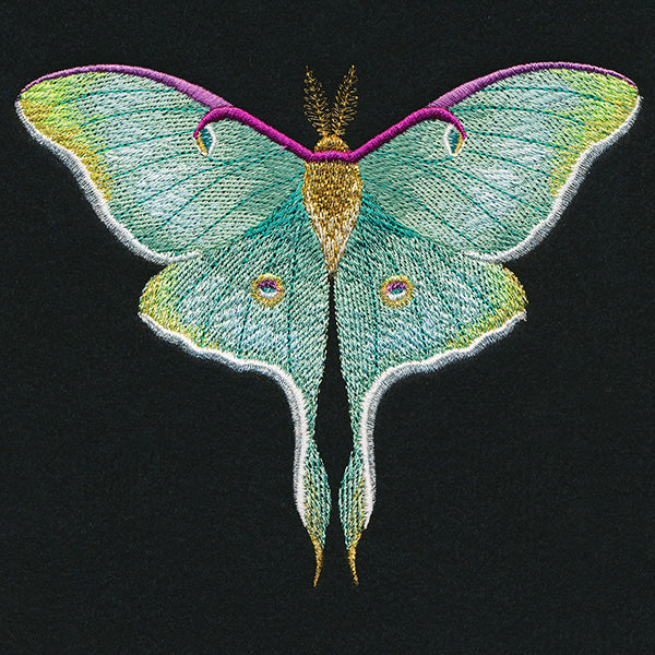 Emerald Luna Moth
