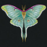 Emerald Luna Moth