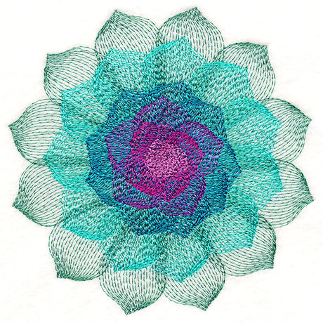 Captivating Succulent