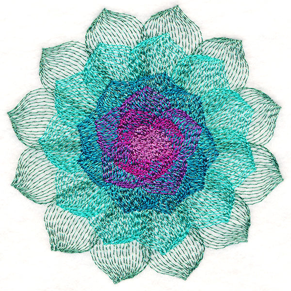 Captivating Succulent