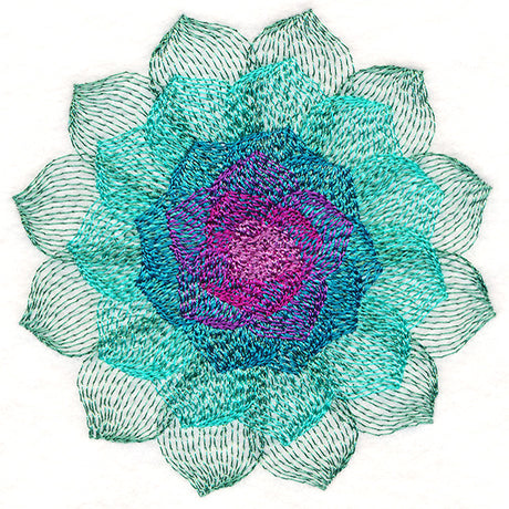 Captivating Succulent