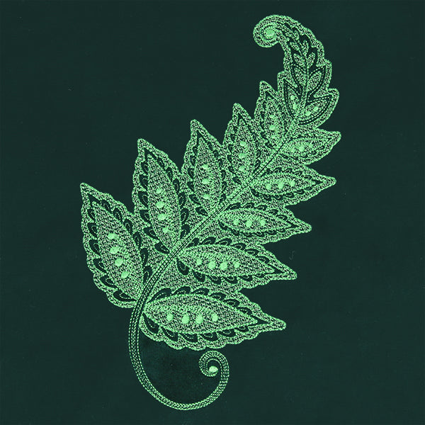 Emerald Dreams Fern
