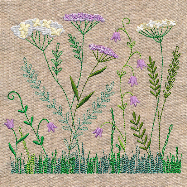 Delicate Yarrow in Bloom