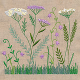 Delicate Yarrow in Bloom