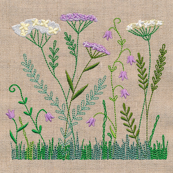 Delicate Yarrow in Bloom