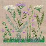 Delicate Yarrow in Bloom