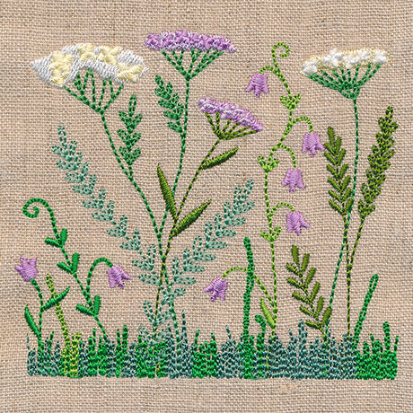 Delicate Yarrow in Bloom