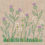 Delicate Thistle in Bloom