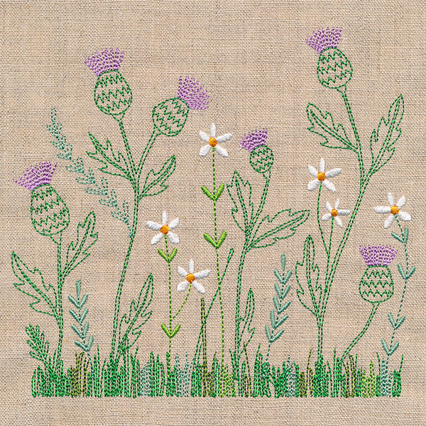 Delicate Thistle in Bloom