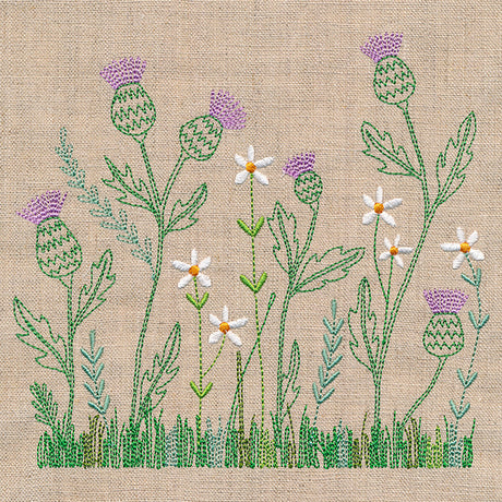 Delicate Thistle in Bloom