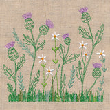 Delicate Thistle in Bloom