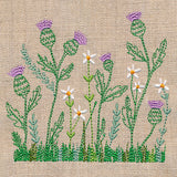 Delicate Thistle in Bloom