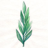 Elegant Botanical in Watercolor