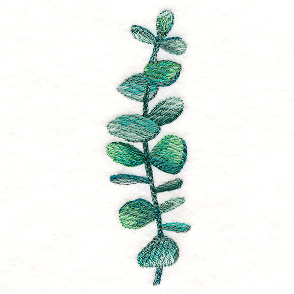 Curious Botanical in Watercolor