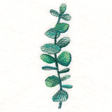 Curious Botanical in Watercolor