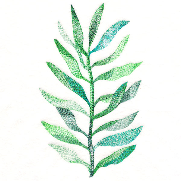 Wispy Botanical in Watercolor