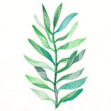 Wispy Botanical in Watercolor