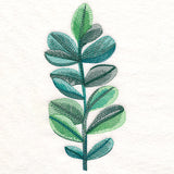 Lush Botanical in Watercolor