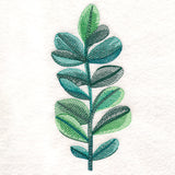 Lush Botanical in Watercolor